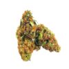 AK 47 Strain